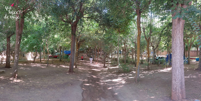Área de Barbacoas y Parcelas del Camping Los Molinos