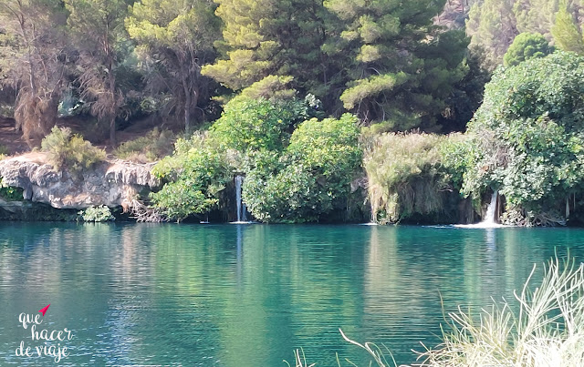 Laguna Del Rey en Lagunas de Ruidera