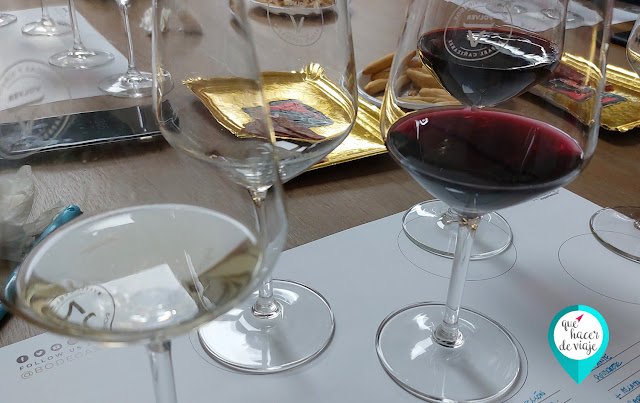Cata de Vino en Bodegas Volver en Alicante