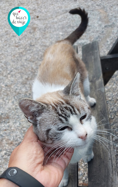 ¡Hasta nuestra próxima visita a Sierra Espuña, Las Almoloyas y Bolnuevo, Peggy Sue!